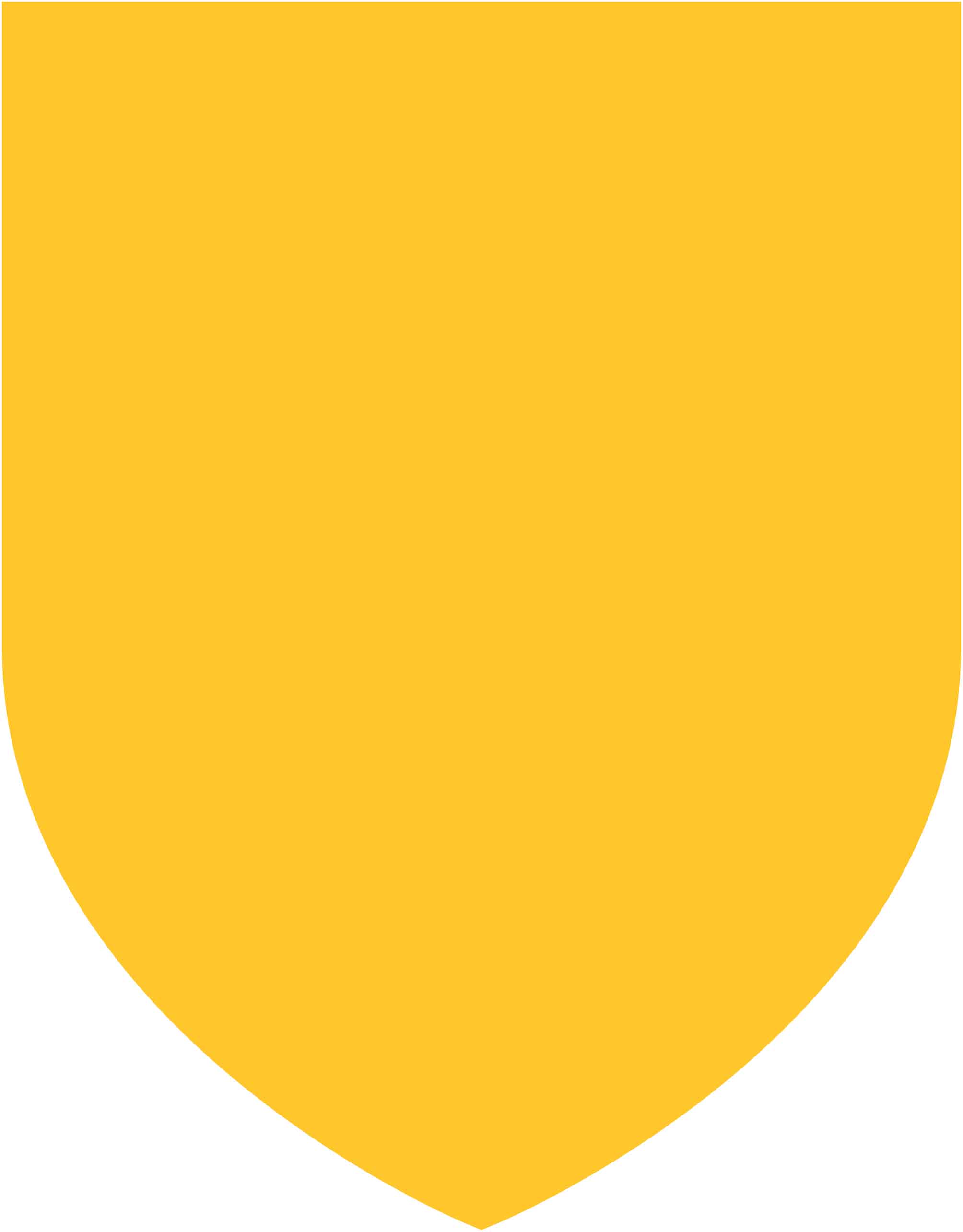 Gateway Gold Shield