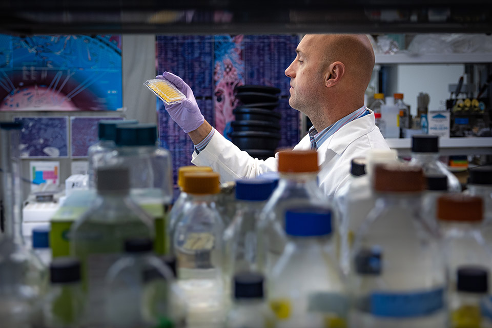 Keith Blomenkamp observes a specimen in a lab.